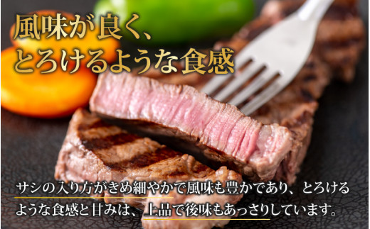 【肉の定期便×12回コース】肉好き大集合！若狭牛 食べ比べ 定期便！【福井のブランド牛肉】【4等級以上】 [O-058002]