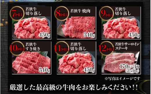 【肉の定期便×12回コース】肉好き大集合！若狭牛 食べ比べ 定期便！【福井のブランド牛肉】【4等級以上】 [O-058002]