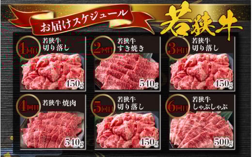 【肉の定期便×12回コース】肉好き大集合！若狭牛 食べ比べ 定期便！【福井のブランド牛肉】【4等級以上】 [O-058002]