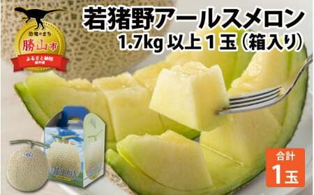 【令和8年産 先行予約】若猪野アールスメロン 1.7kg 以上 1玉 箱入り ※2026年8月下旬より順次発送 [A-011013]