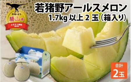 【令和8年産 先行予約】若猪野アールスメロン 1.7kg 以上 2玉 箱入り ※2026年8月下旬より順次発送 [A-011014]