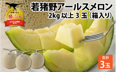 【令和8年産 先行予約】若猪野アールスメロン 2kg 以上 3玉 箱入り ※2026年8月下旬より順次発送 [A-011015]