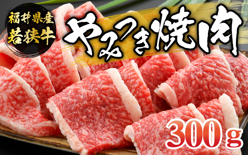 福井県内産若狭牛　やみつき焼肉(300g) [A-012002]