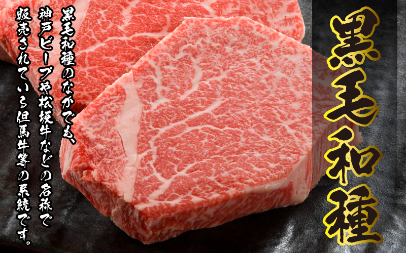 ＜福井県内産若狭牛＞若狭牛コロッケ(冷凍)20個入り [A-012007]