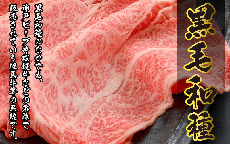 福井県内産若狭牛とろけるすき焼　しゃぶしゃぶ(300g) [A-012008]