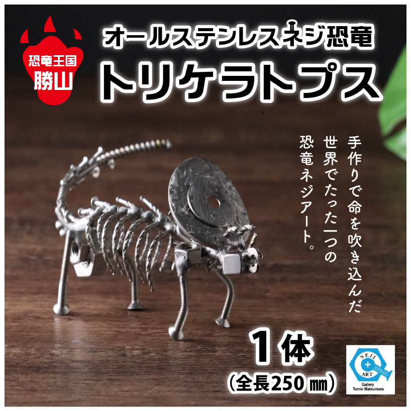 オールステンレスネジ恐竜　トリケラトプス(全長250mm) [A-025003]
