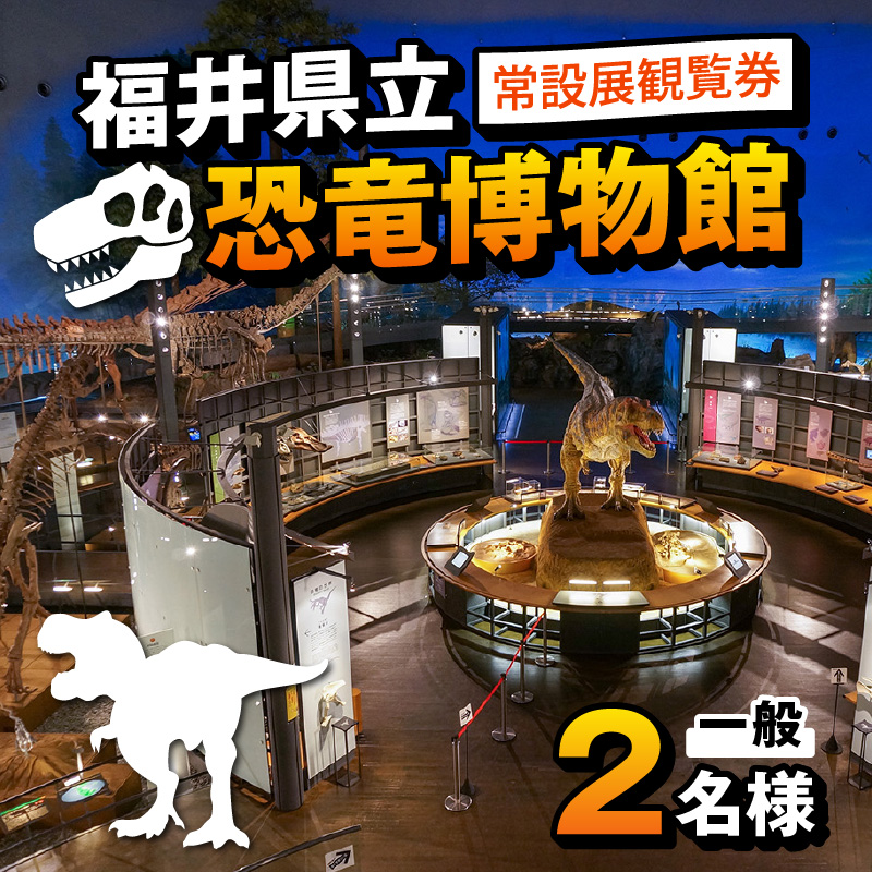 福井県立恐竜博物館 常設展観覧券 (一般 2名様) [A-048007]