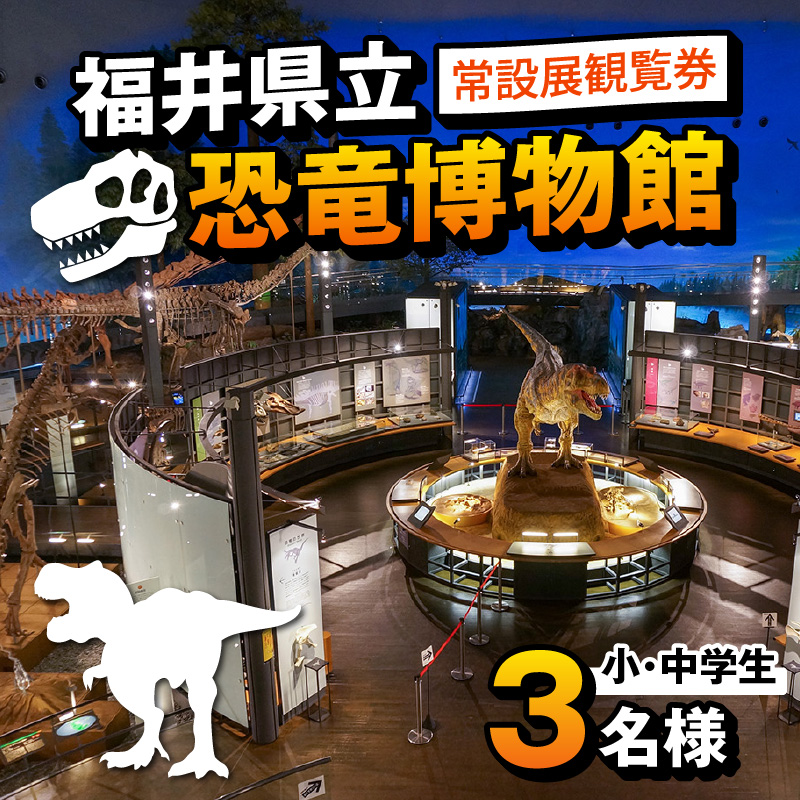 福井県立恐竜博物館 常設展観覧券 (小・中学生 3名様) [A-048012]