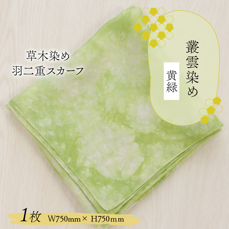 草木染め羽二重スカーフ 黄緑 叢雲染め [A-053001]