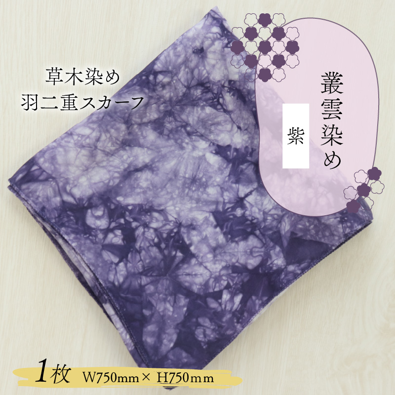 草木染め羽二重スカーフ 紫 叢雲染め [A-053003]