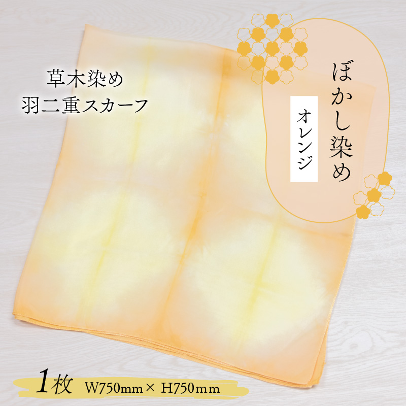 草木染め羽二重スカーフ オレンジ ぼかし染め [A-053005]