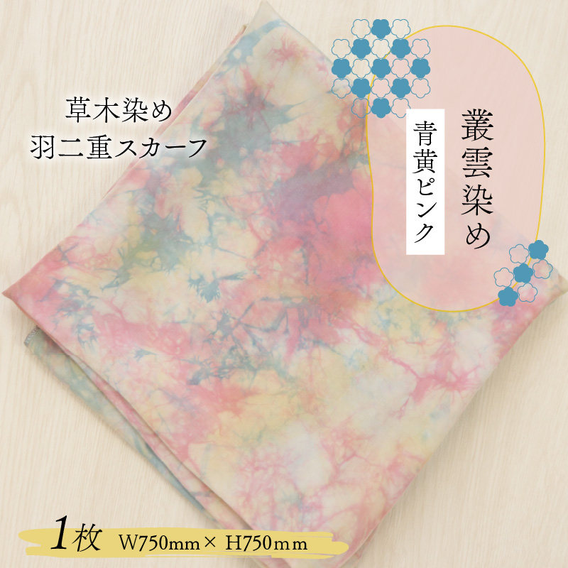 草木染め羽二重スカーフ 青黄ピンク 叢雲染め [A-053006]