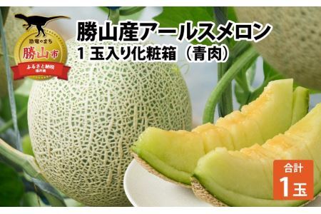  勝山産アールスメロン 1個入り（青肉）※2026年7月下旬より順次発送 [A-060005]