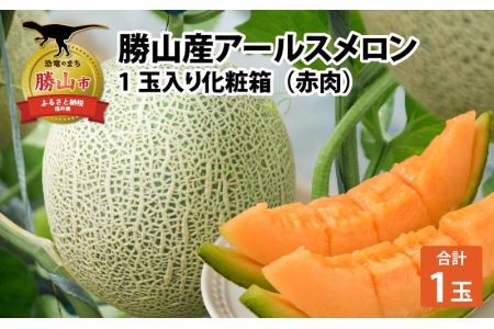 勝山産アールスメロン 1個入り（赤肉）※2026年7月下旬より順次発送 [A-060006]