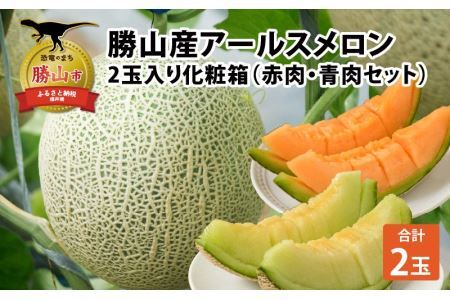 勝山産アールスメロン 2個入り 化粧箱（赤肉・青肉セット）※2026年7月下旬頃順次発送 [A-060007]