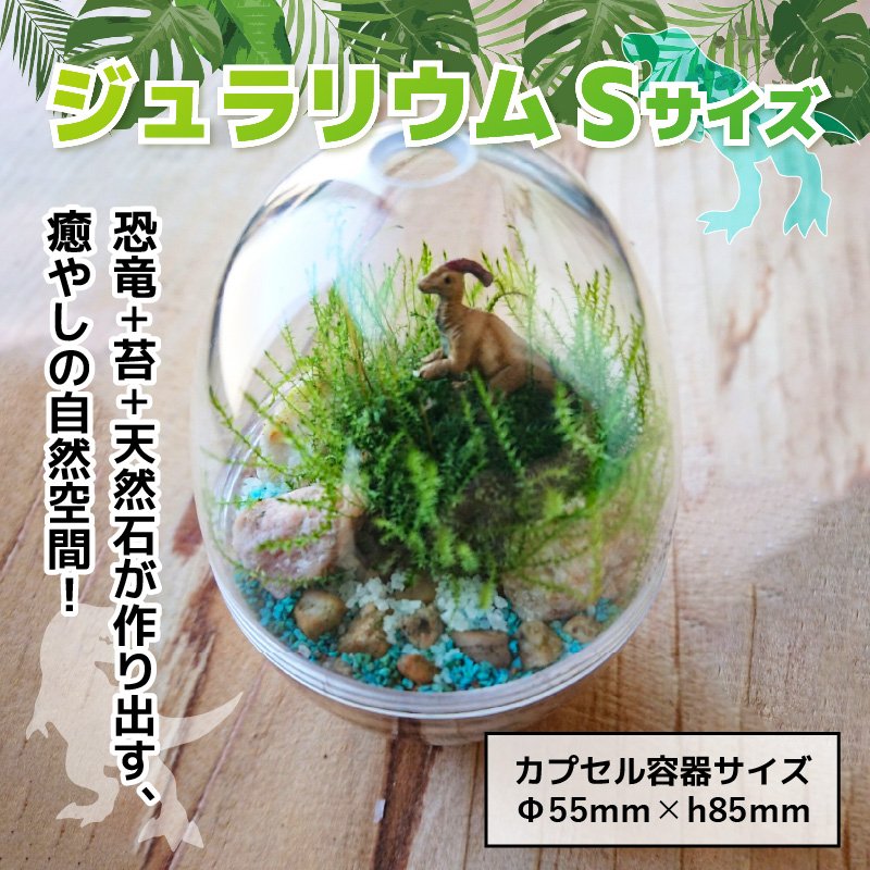 恐竜＋苔＋天然石が作り出す、癒やしの自然空間！ ジュラリウム Sサイズ [A-070001]