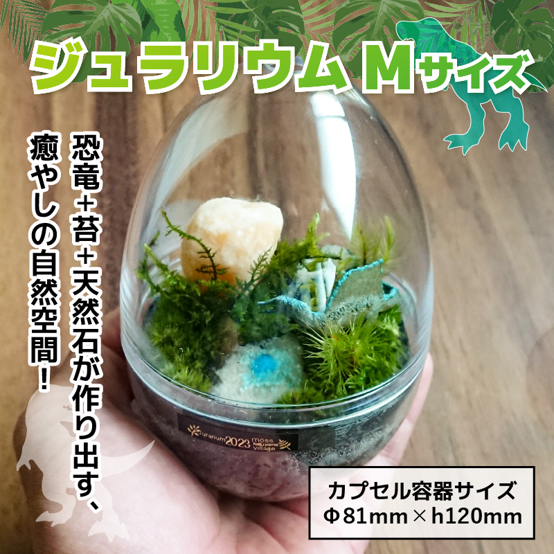 恐竜＋苔＋天然石が作り出す、癒やしの自然空間！ ジュラリウム Mサイズ [A-070002]