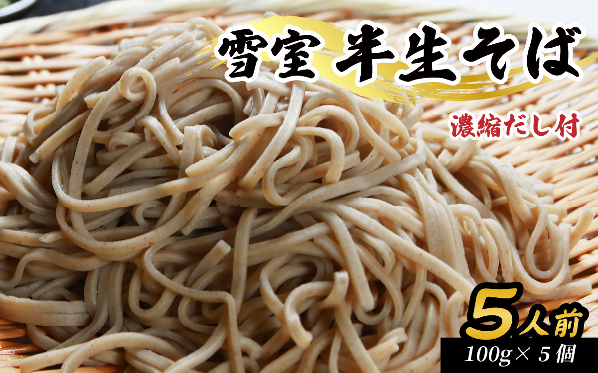 雪室半生そば 5人前（100g/1人前×5個セット） 濃縮だし付 [A-077005]