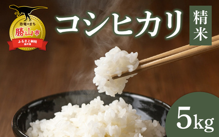 【勝山市産】田中さんちのコシヒカリ 精米 5kg [A-080006]