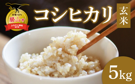 【勝山市産】田中さんちのコシヒカリ 玄米 5kg [A-080007]