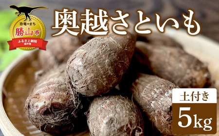 【勝山市産】 田中さんちの奥越さといも 5kg [A-080008]