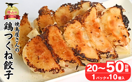 焼鳥屋さんの鶏つくね餃子　10個入り　2パック　［A-084001］