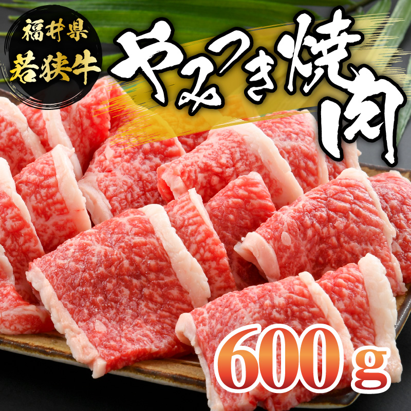 福井県内産若狭牛やみつき焼肉(600g) [B-012002]
