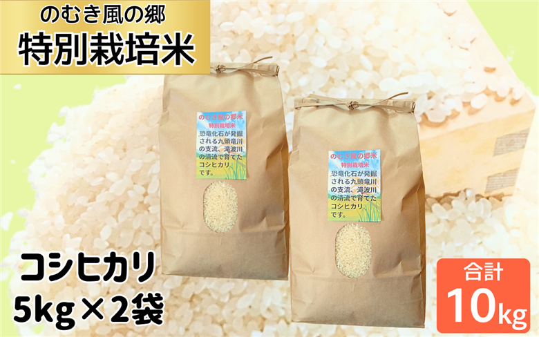 令和7年 のむき風の郷コシヒカリ特別栽培米（精米)　5kg × 2袋（10kg）【B-024004】