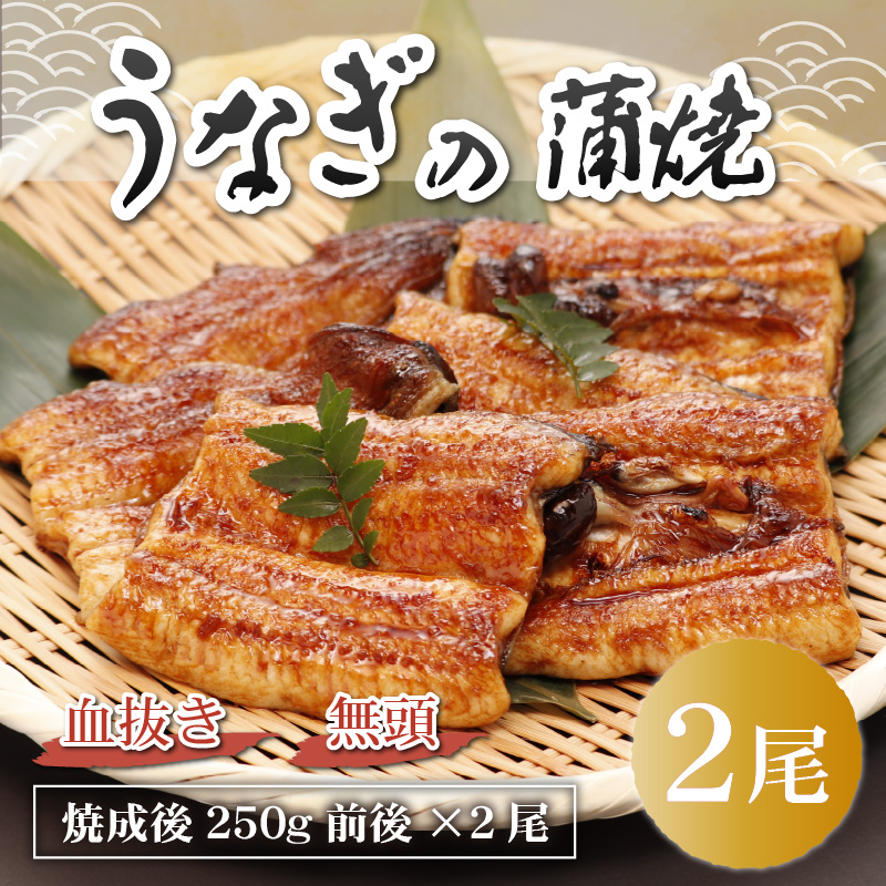 血抜きうなぎの蒲焼（無頭）焼成後250g前後×2尾  国産 [B-044001]