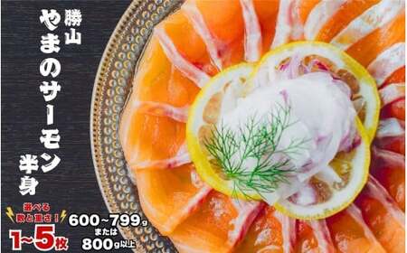 勝山 やまのサーモン 半身 冷凍  ※600～799ｇ以上×2枚 [B-050004]