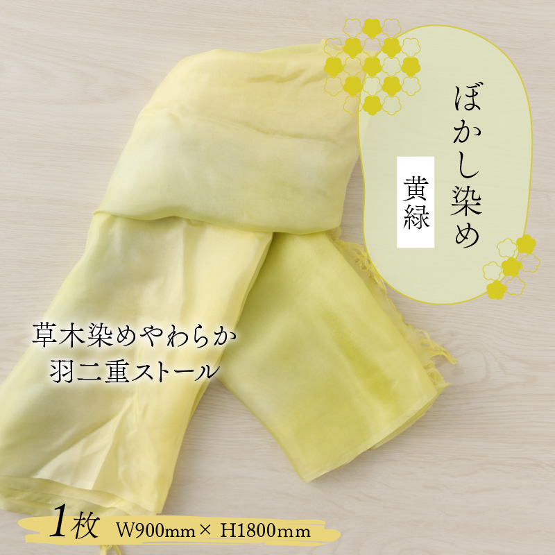 草木染めやわらか羽二重ストール 黄緑 ぼかし染め [B-053001]