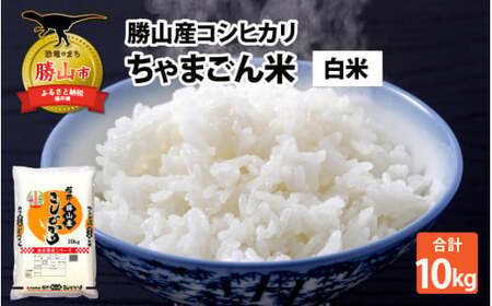 【令和7年産 新米】勝山産 コシヒカリ ちゃまごん米 精米 10kg [C-010018]