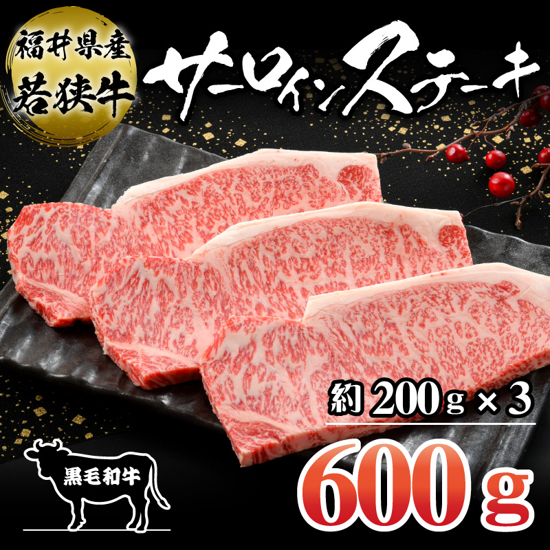 福井県産若狭牛サーロインステーキ約200g×3枚セット [C-012004]