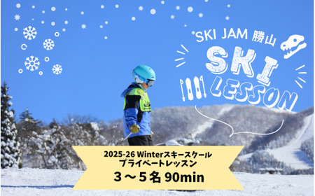 スキー プライベートレッスン 受講券（3名～5名 90分） [J-033001]