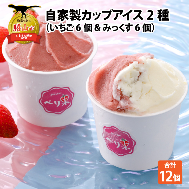 自家製カップアイス2種セット（いちご 6個 & みっくす 6個） [A-045002]