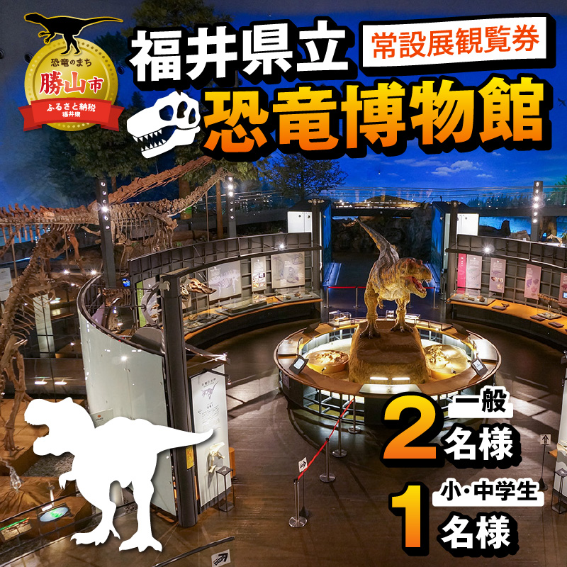 福井県立恐竜博物館 常設展観覧券 (一般 2名様と小・中学生 1名様) [A-048008]