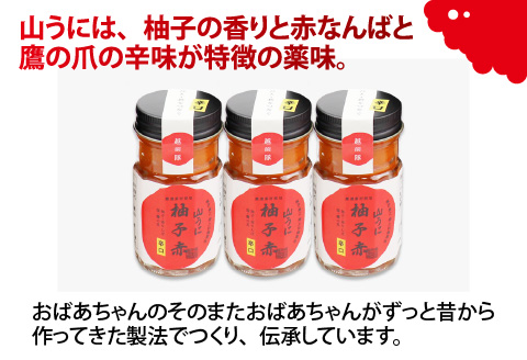 鯖江の伝統薬味「山うに」柚子赤３本セット 　辛口 辛口
