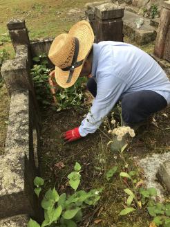 お墓　お掃除・献花・お参り代行サービス　年3回 [G-06001]