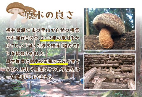 鯖江市産 原木乾燥椎茸「越のてまり」 （大・中サイズ）3パック &（小サイズ）2パック　計5パック