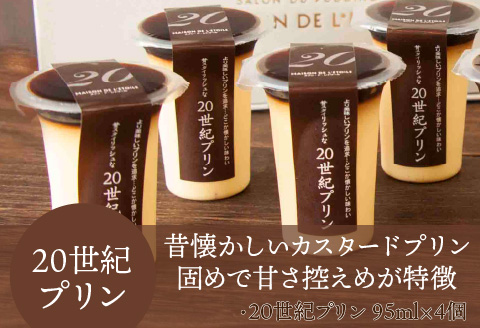 2種のカスタードプリン 20世紀・21世紀プリン 8個セット