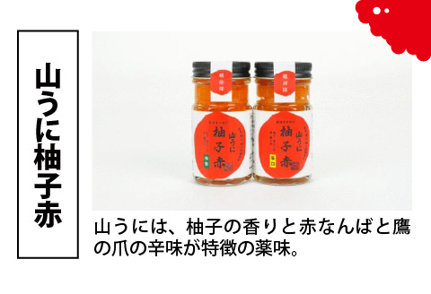 鯖江の伝統薬味 山うに＆蕎麦セット 中辛 中辛