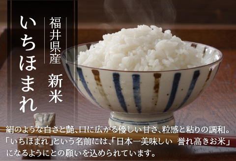 【福井県産米】いちほまれ5kg＆若狭牛焼肉400g