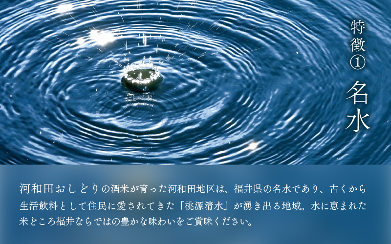 【数量限定】梵コラボ 純米大吟醸 地酒『河和田おしどり』