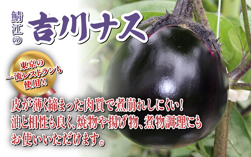 期間限定 吉川ナス 1箱（9個入）