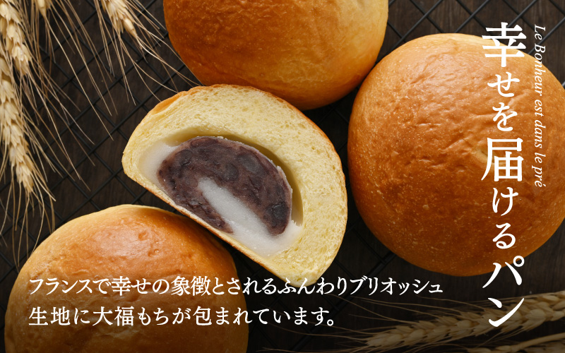 ヨーロッパンキムラヤの大福あんぱん（10個入）