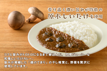 農家がつくったFARMER'sCURRY 200ｇ(1袋）×5袋