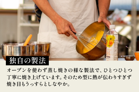 プレーンシフォンケーキ１０個セット