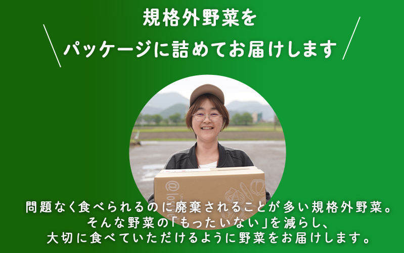 【2025年12月配送】多数のメディアで紹介されました！【訳あり】旬のもったいないお野菜詰め合わせセット