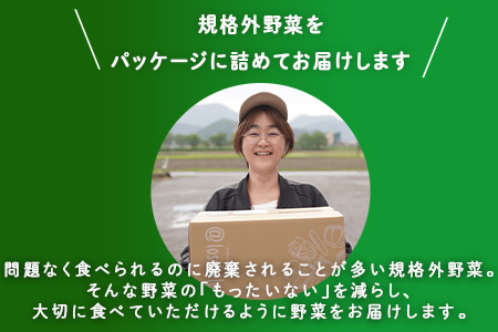 多数のメディアで紹介されました！【訳あり】旬のもったいないお野菜詰め合わせセット　Lサイズ Lサイズ
