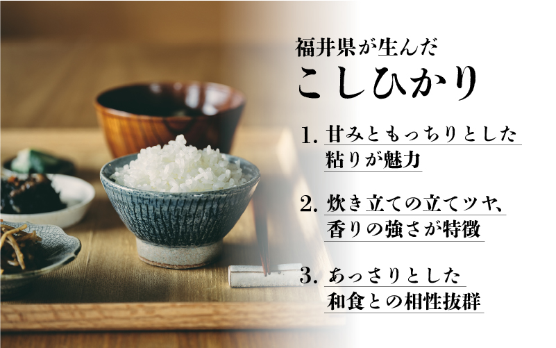 【令和7年産新米！】コシヒカリ10kg（5kg × 2）